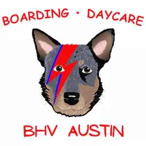 BHV- Austin, Texas, Austin